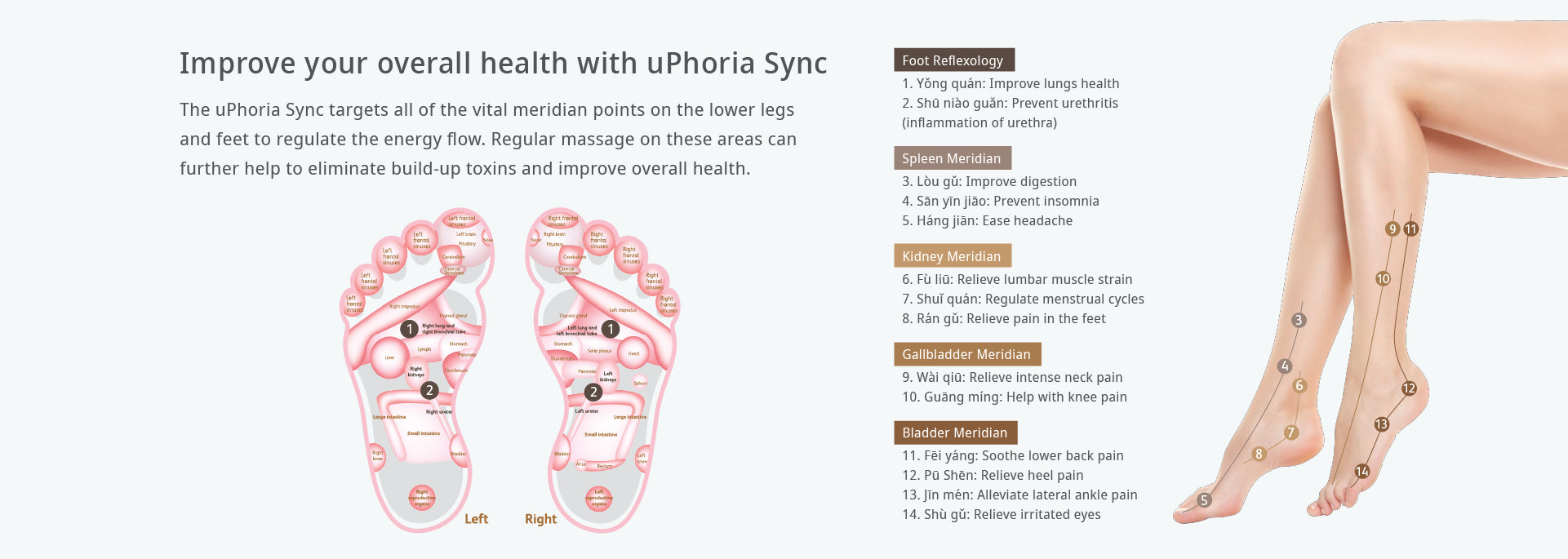 Improve your overall health with uPhoria Sync
The uPhoria Sync targets all of the vital meridian points on the lower legs and feet to regulate the energy flow. Regular massage on these areas can further help to eliminate build-up toxins and improve overall health.

Foot Reflexology 1. Yǒng quán: Improve lungs health 2. Shū niào guǎn: Prevent urethritis (inflammation of urethra) Spleen Meridian 3. Lòu gǔ: Improve digestion 4. Sān yīn jiāo: Prevent insomnia 5. Háng jiān: Ease headache Kidney Meridian 6. Fù liū: Relieve lumbar muscle strain 7. Shuǐ quán: Regulate menstrual cycles 8. Rán gǔ: Relieve pain in the feet Gallbladder Meridian 9. Wài qiū: Relieve intense neck pain 10. Guāng míng: Help with knee pain Bladder Meridian 11. Fēi yáng: Soothe lower back pain 12. Pū Shēn: Relieve heel pain 13. Jīn mén: Alleviate lateral ankle pain 14. Shù gǔ: Relieve irritated eyes
